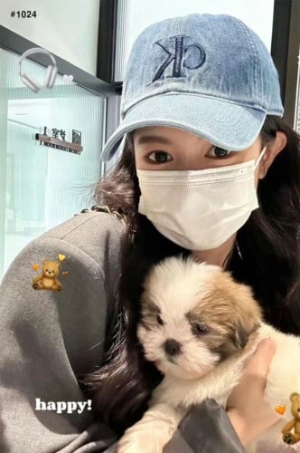 💕 C* 수입 빅로고 코튼 데님 볼캡