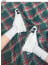 💕 에*** 수입프리미엄급 바운싱 스니커즈