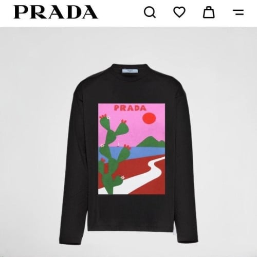 💕 프** 선인장 긴팔티