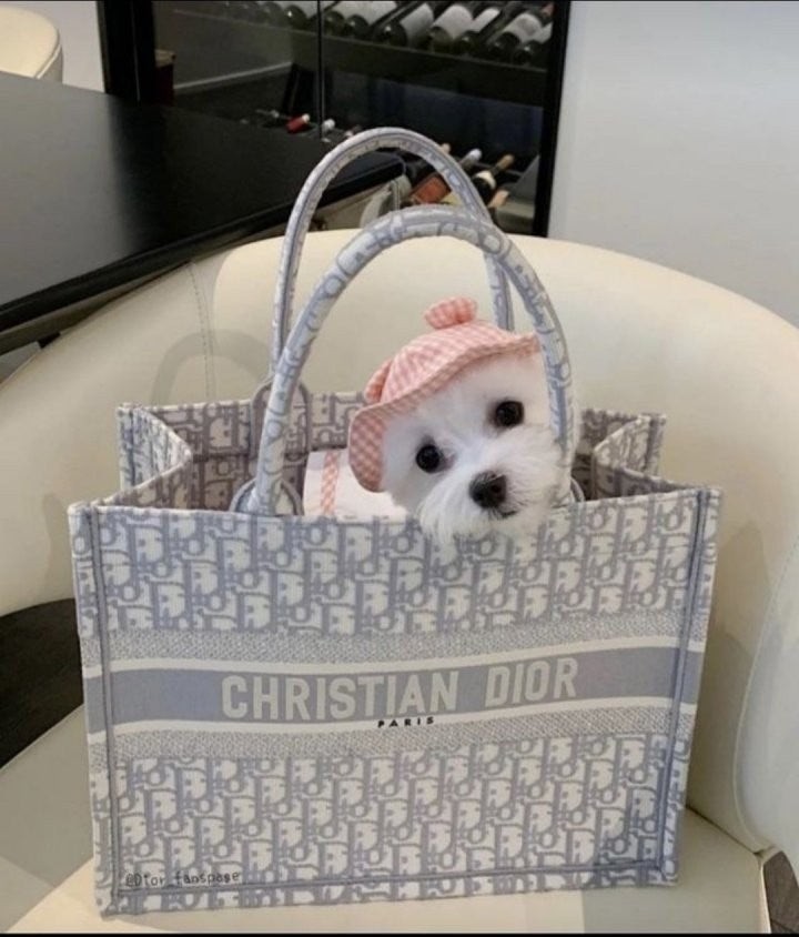 💕 디* 오블리크 + 쁘띠스카프 북토트 백 미디움