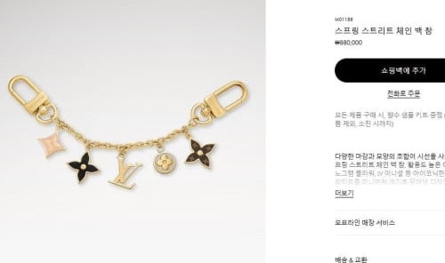 💕 루* 스프링 스트리트 체인 백 참