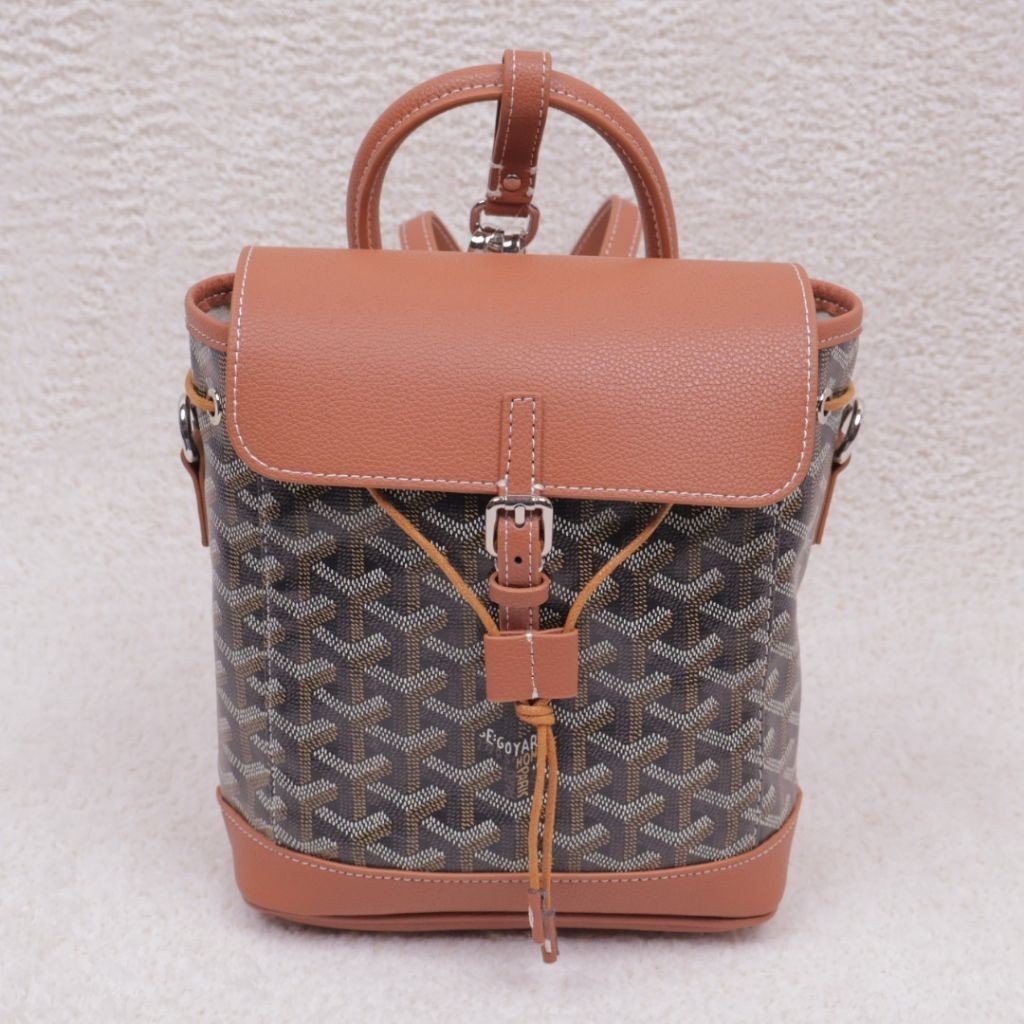 고야드 알핀 콤비 백팩 (가방)