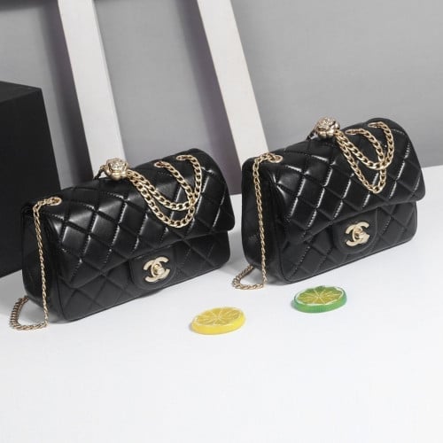 💕 샤* 까멜리아