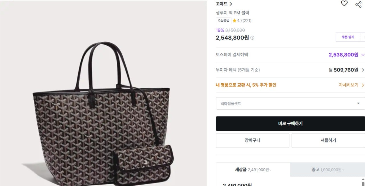 ✨고야드 생루이 백 PM 블랙 ✨