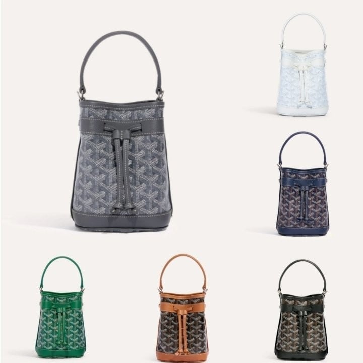 고야드 쁘띠플로 버킷백 (가방)