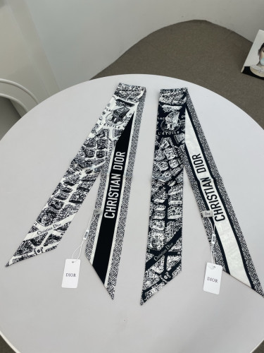 #RR #디올 플랑드파리 스카프 🇫🇷✨
