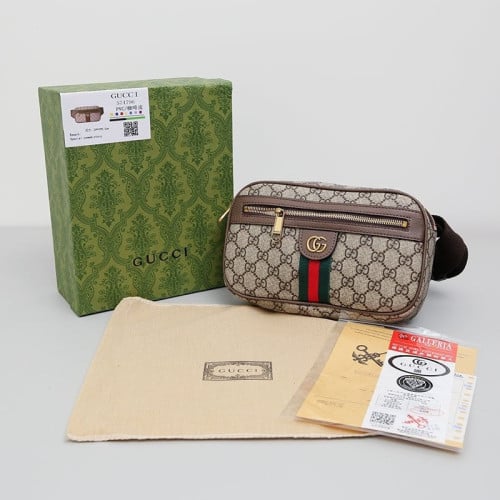 👹구찌 오피디아 GG 벨트백👹