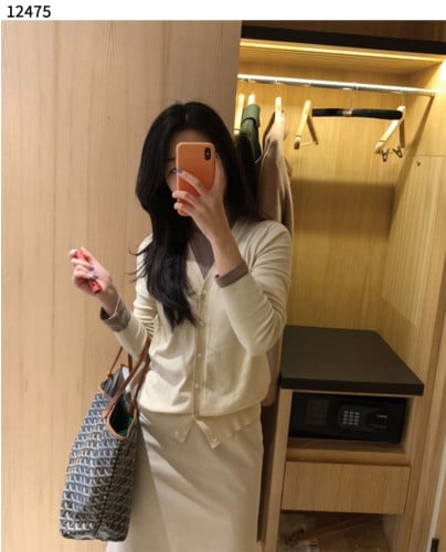 #고야드 [GOYARD] 수입프리미엄급 고야드 생루이백 pm 신상 입고💢 #태그 #가방 #12475