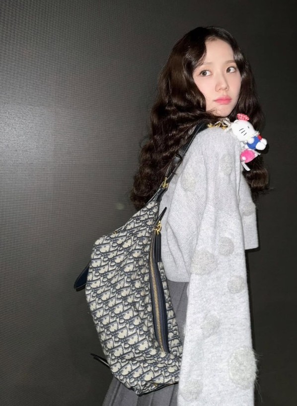 디V D-Journey 미디엄 백