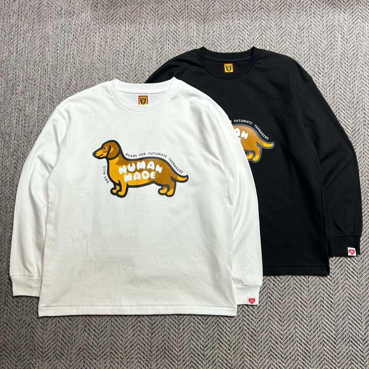 닥스훈트 긴팔 HM-112